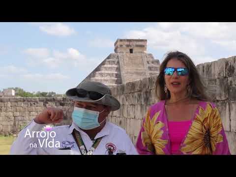 Arrojo na vida -  A culpa inconsciente e a resistência