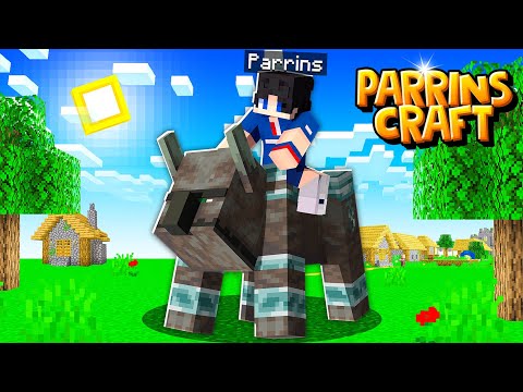 IL MIO PRIMO RAID - MINECRAFT ParrinsCraft ep.11