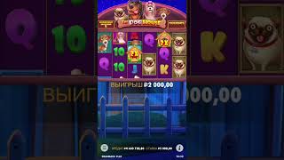 Бонуска для подписчика за 500к в Dog house megaways #занос #slot #слоты #заноснедели