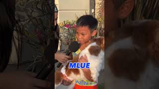I love Mlue cards
