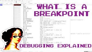 What is a Breakpoint - Debugging Explained