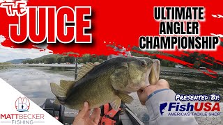 FLIPPING up 20lbs of GUNTERSVILLE BASS!