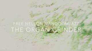 Free Nelson MandoomJazz - The Organ Grinder - Teaser Video