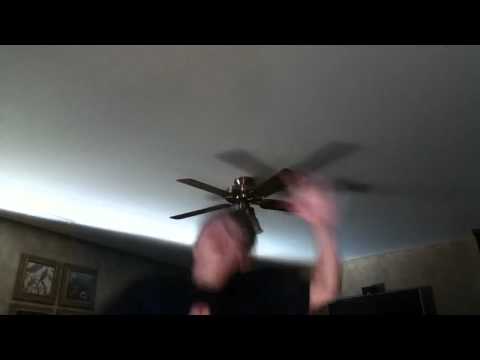 Every body DIE NOW  d(^_^o)