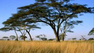 Serengetti Plains - Billy Cobham