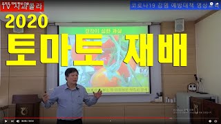 [토마토 재배 핵심 기술] 생육관리,칼슘결핍,적심작업,뿌리장해,시들음병,반점위조바이러스,담배가루이,