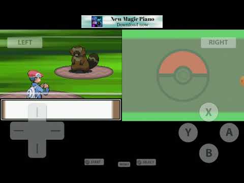 How to get Shromish plus a special pokemon!