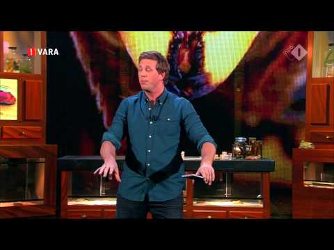 DWDD University presenteert  'Gif' door Freek Vonk