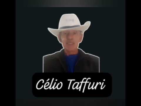 Célio Taffuri - Homenagem a João Ricardo (Secos & Molhados) grande compositor da MPB - 2025