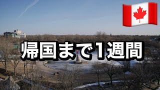 【カナダ】帰国まで１週間！！楽しみすぎる今日この頃