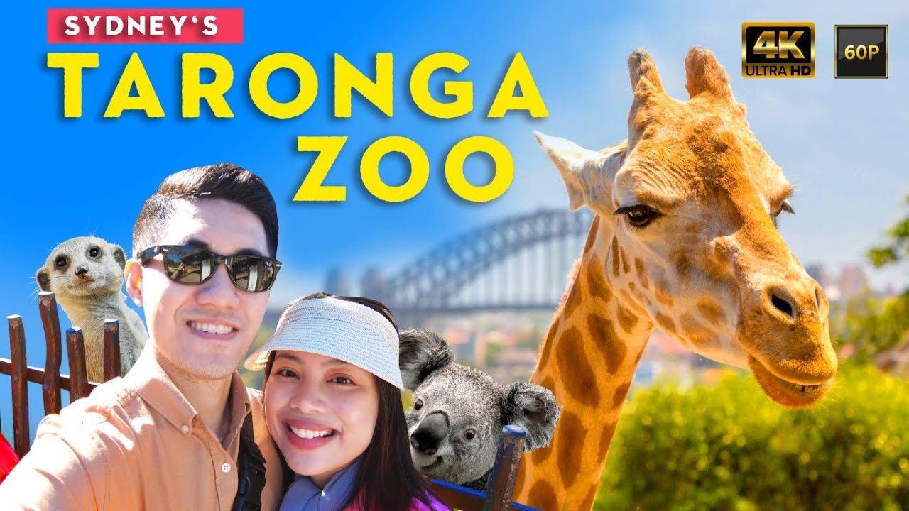 Join a duo on a captivating journey to Taronga Zoo.
