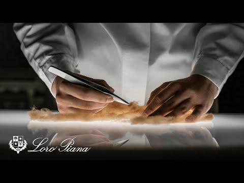 Loro Piana Savoir-Faire: Vicuna