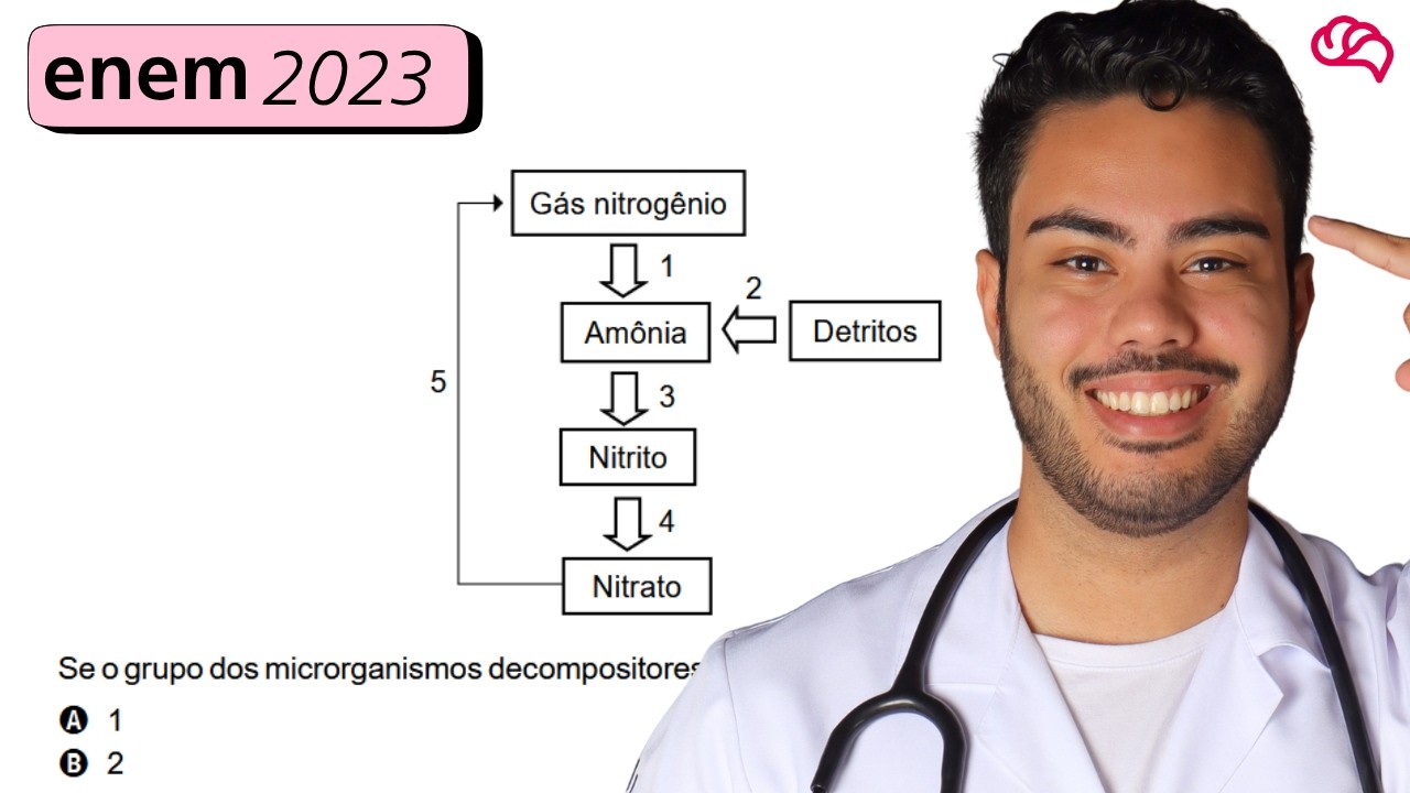 Resolução em Vídeo — Questão 116 ENEM 2023