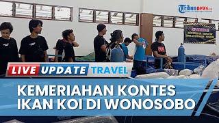 Kemeriahan Kontes Ikan Koi Bupati Cup di Gedung Sasana Adipura Wonosobo, Diikuti Ribuan Ikan Koi