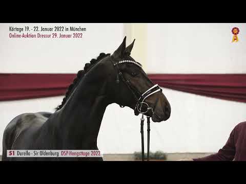 Lot 51: Hengst v. Durello/Sir Oldenburg