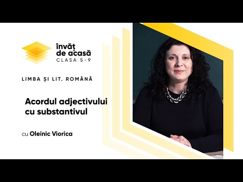 Limba și literatura română; cl. a V-a, "Acordul adjectivului cu substantivul"