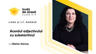 Acordul adjectivului cu substantivul