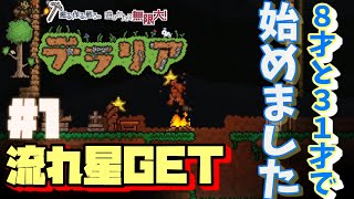 【terraria】#1 掘る、作る、戦う、笑う。遊び方は無限大！こんなゲームを待っていた！
