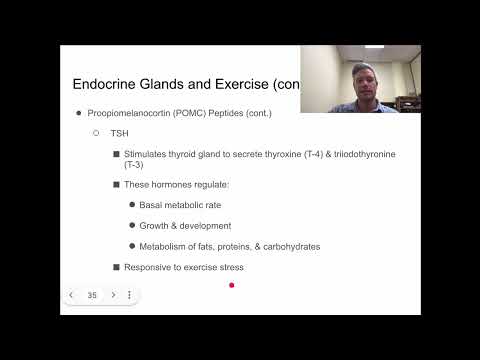 KIN 163 - POMC Based Hormones & Exercise