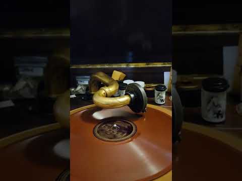 Bye Bye Blackbird - (Irving Kaufman) Lou Gold & his Orchestra Perfect Records #14618 1926