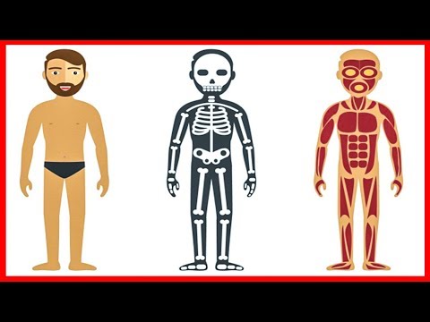 10 WEIRD THINGS YOU DIDN'T KNOW ABOUT YOUR OWN BODY Video
