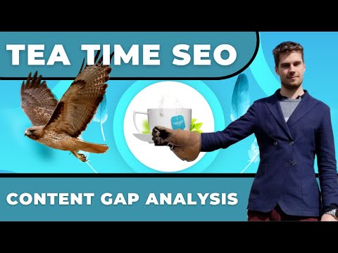 SEO Gap Analysis