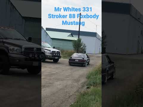 88 Foxbody Mustang 331 Stroker
