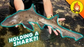 2018's MOST EPIC Animal Catch!
