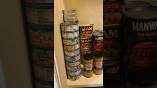 Beginner prepper pantry