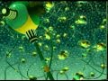 Twipsy Opening