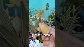 💥😱 ESSE SUCO REFRESCANTE ESTÁ SENDO MUITO COMPARTILHADO! #short