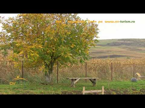 Pensiunea Paula - Cazare Cluj - Cazare Suatu - video by www.av-turism.ro