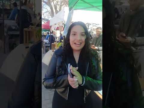 feria de villa de las rosas traslasierra Córdoba Argentina