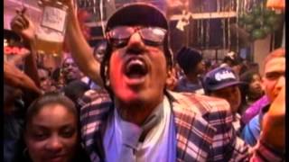 Digital Underground - The Return Of The Crazy One (1993)