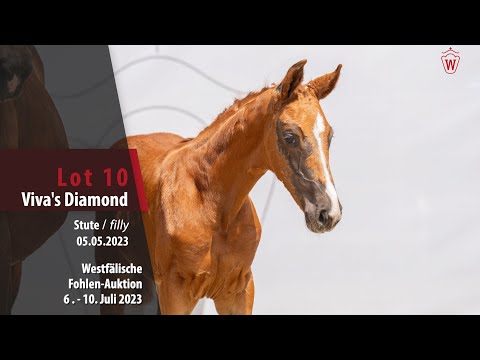 Fohlen-Auktion Lot 10 Viva`s Diamond Stute v. Vitalis - Diamond Hit