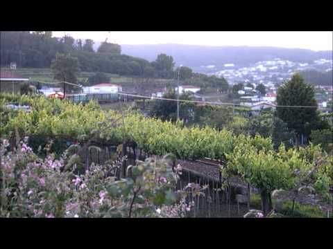 Comboio Internacional n.º 47810 - Silva