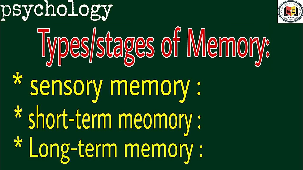 Types of memory in psychology|psychology|sensory memory , short and long-term memory|lectures||