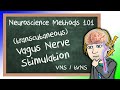 Vagus Nerve Stimulation Explained! (VNS/tVNS) | Neuroscience Methods 101