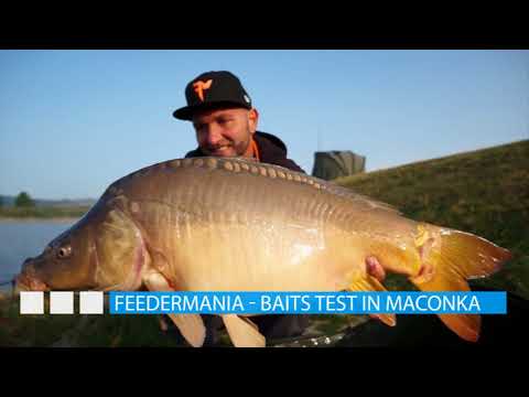 Feedermánia - Maconkai etetőanyag és csali tesztek