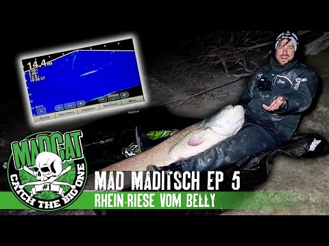 MAD MADITSCH #5 fängt RHEIN-RIESE vom Belly Boat 😱🔥 Neuer Personal Best I Welsangeln I MADCAT