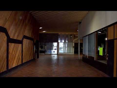 Dj WestSide, Cam - Burning House (Reggae Country Remix) (but it's playing in an empty mall)