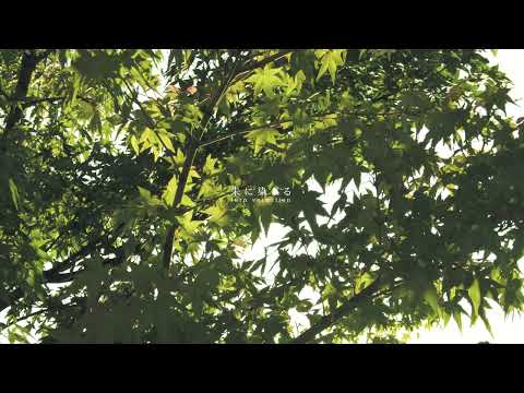 児童教育学科 第14回フォトコンテスト 動画部門 最優秀賞「朱に染まる」