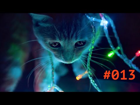 Kater Vitalik - "The Sixth Sense" (Ethereal & Melodic Techno DJ Mix) Podcast #013