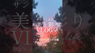 【オイル、辞めます】引き算の美学｜油抜きドレッシング