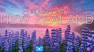 BEAUTY OF NEW ZEALAND (4K) 1HR Nature Relaxation™ Film + Music for Stress Relief - South Island UHD