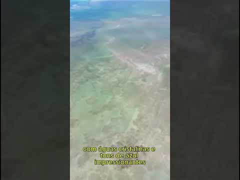 “Maragogi: o paraíso escondido do Brasil 🇧🇷”