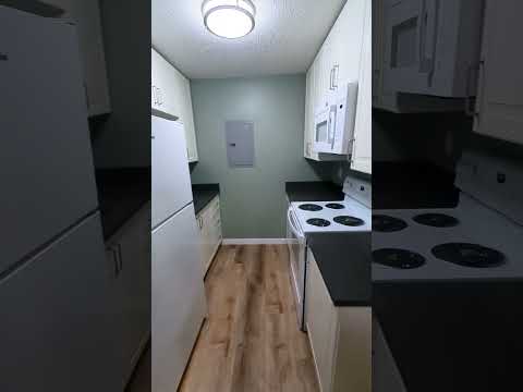 253 - Video 3 of 3