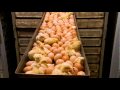 The 49 Day Chicken
