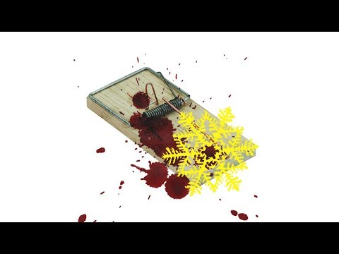 PNG BOYS and PŁATEK TO SZELMA