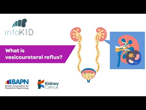 What is vesicoureteral reflux (VUR)? | Kidney disease | infoKID